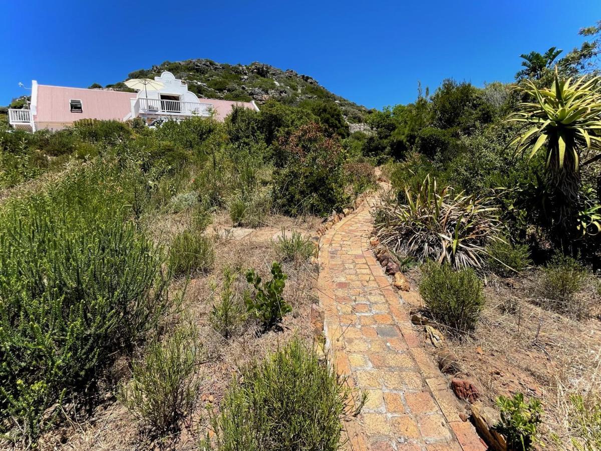 Windrose, Noordhoek, Sensationeller Meerblick 开普敦 外观 照片